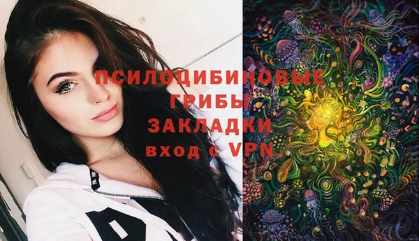 спайс Алзамай