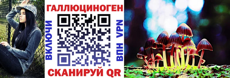 как найти закладки Вичуга Псилоцибиновые грибы мицелий