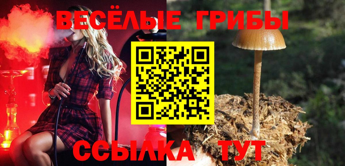 Галлюциногенные грибы Magic Shrooms Вичуга
